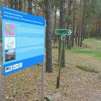 Rundwanderung auf den Spuren König Otto I - Infotafel Hoher Berg