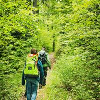Anni's Schwarzwald Geheimnis