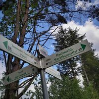 Weggabelung in Passail_Naturpark Almenland_Oststeiermark