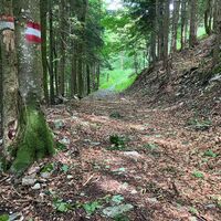 Losenstein-Hohe Dirn Trail