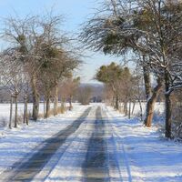Straße nach Kleinbautzen im Winter
