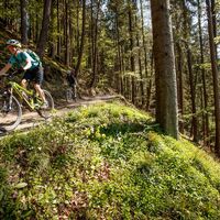 Mountainbiken in Kleinzell