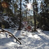 Puchberg - Schneebergdörfl - Mieseltal - Waxriegel
