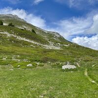 über Alpweiden, noch liegt der Gipfel weit weg