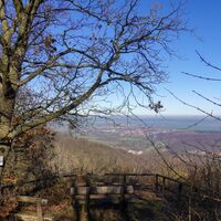 Wolfsbergblick
