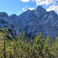 Wilder Jäger von Brettkogel