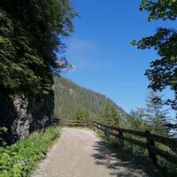 Forstweg ins Strindental