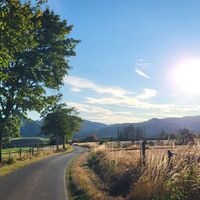 Sommerlandschaft in Medebach