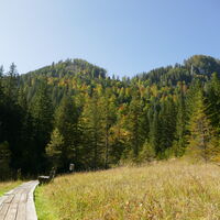 langsam färben sich die Bäume