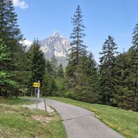 Geteerter Forstweg hinauf zur Jägerhütte, wird später zum Gravelweg.