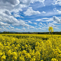 Panorama auf Nordheim und die Gleichberge