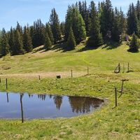 11.3 km Teich
