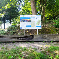 Hexenbesen