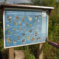 Naturlehrpfad Billafingen