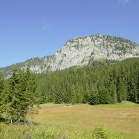 beim Schönmoos angekommen bäumt sich der Hochtausing vor uns auf