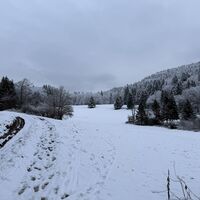 Mit Ausblicken zu diversen Wiesen (hier: Maierwiese)