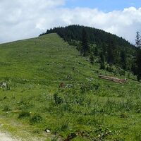 Aufstieg auf den Schwarzkogel