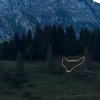 Beleuchteter Müllerfuchs in der Abenddämmerung