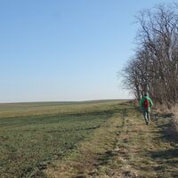 am Weg nach Mitterstockstall