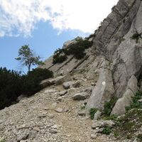 Scheffau_Widauersteig_Wilder Kaiser