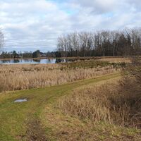 11.0 km Damm Otterteich