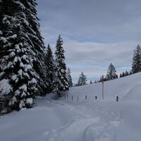 nach Gurnigelberg - Schneeschuhtrail Obergurnigel (114)