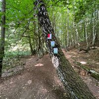 Wegemarkierungszeichen am Jägersburger Weiher