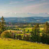 Alpensicht oberhalb von Rickenbach Altenschwand