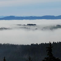 Inversionswetterlage im Spätherbst