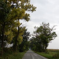 Kittsee - Nickelsdorf