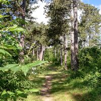 Walderlebnispfad an der Karlskuppe bei Eisenach