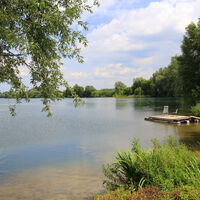 Reeser Meer