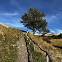 Schöner Wanderweg auf der Seiser Alm