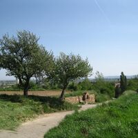 Sieghartskirchen - Trasdorf