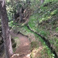 Rittmal "Wasserleitu" am Wegesrand