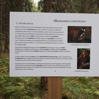 Mikonsaari Naturlehrpfad