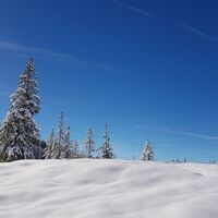 Winterlandschaft