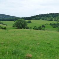 Pfälzer Bergland