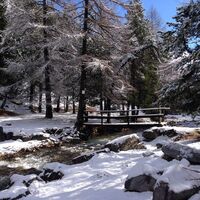 Valle Stretta - Winter