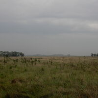 Kittsee - Nickelsdorf