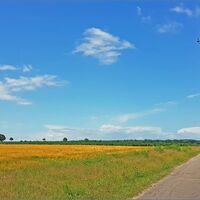 Ländliche Straße auf dem Weg nach Unterstedt
