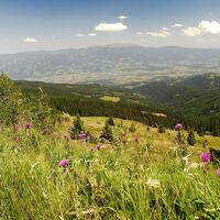 Saualpe - Blick auf das Lavantal