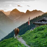 Dalfaz Alm mit Ausblick aufs Karwendel