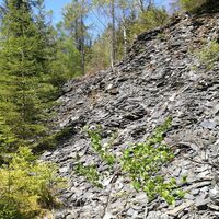 Von Rodacherbrunn zum Titschendorfer Floßteich