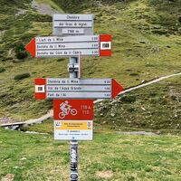 Brücklein zum Latschentrail