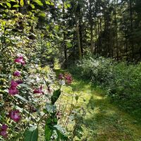 Mühlental-Weg_Naturpark Almenland_Oststeiermark
