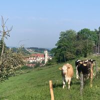 An der Viehweide entlang mit Blick auf die Basilika