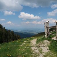 Alphütte Gustiberg - Rundwanderung Gürbequelle