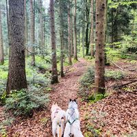 Wanderung Oberwarngau Taubenberg