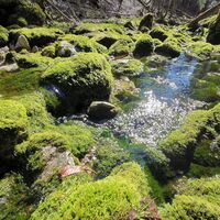 Erlaufursprung im Frühling